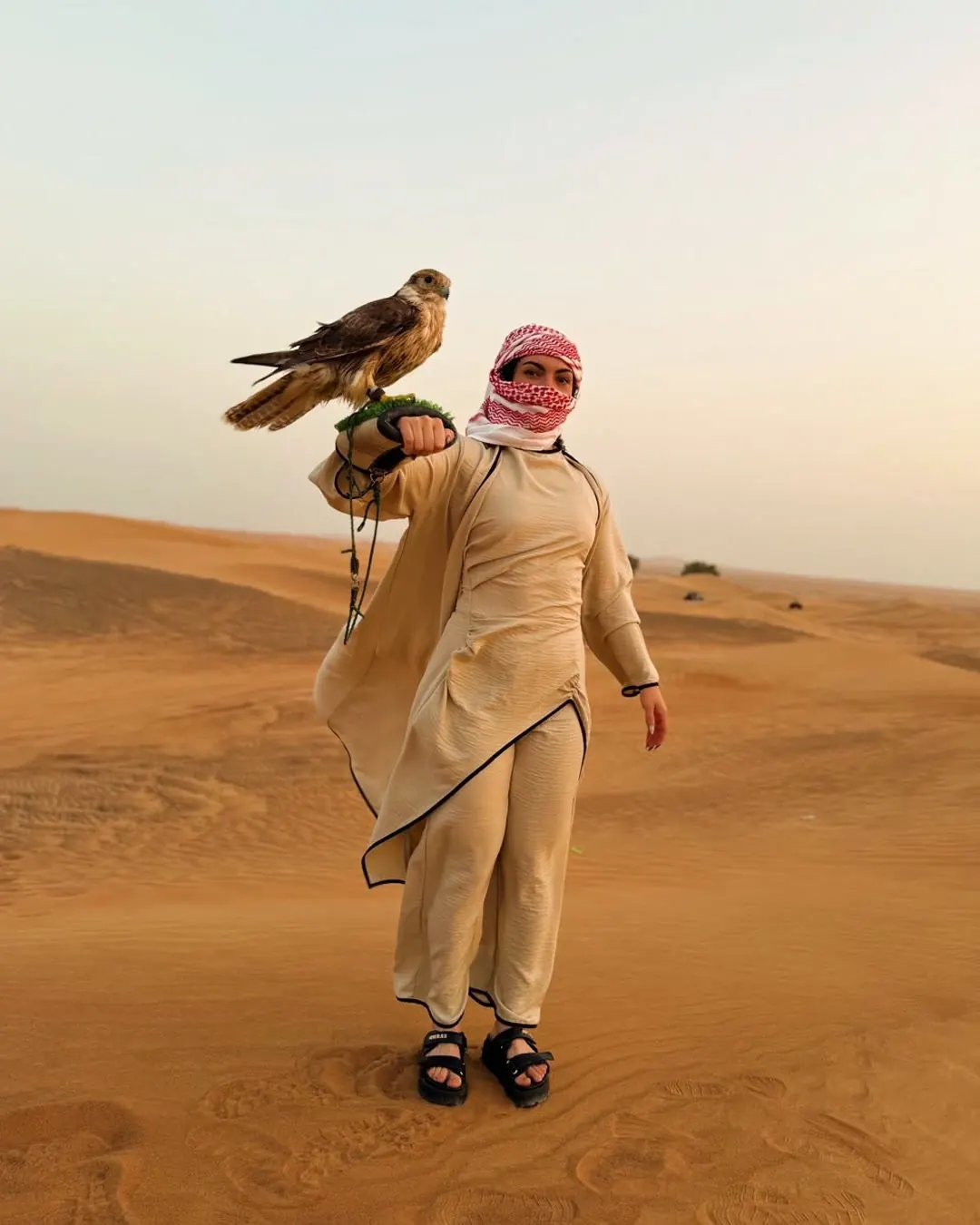 A falcon perched on a guest’s arm in the desert