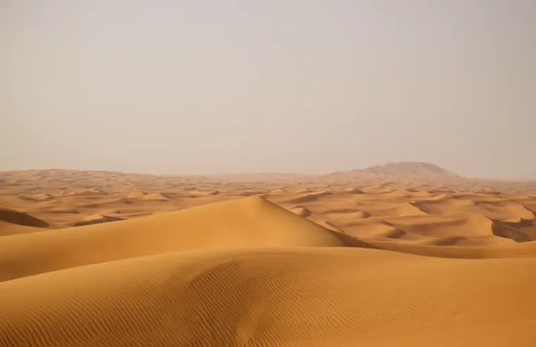 Overnight Desert Camping in Dubai: photo 2