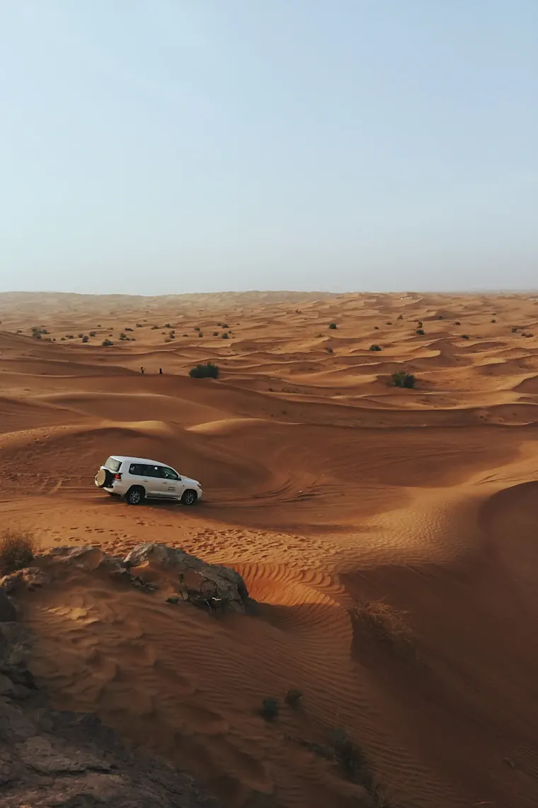 VIP Red Dune Safari in Dubai: photo 2